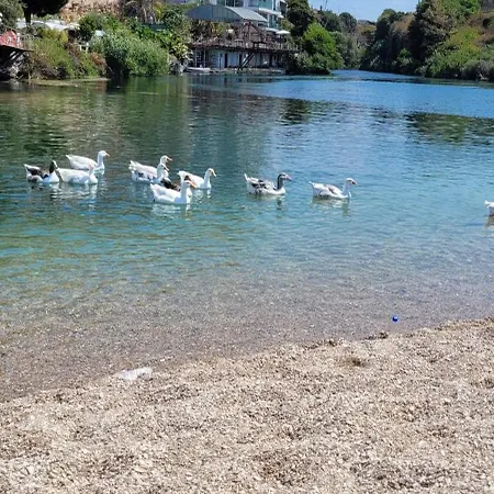 Happy At Bistrica Saranda