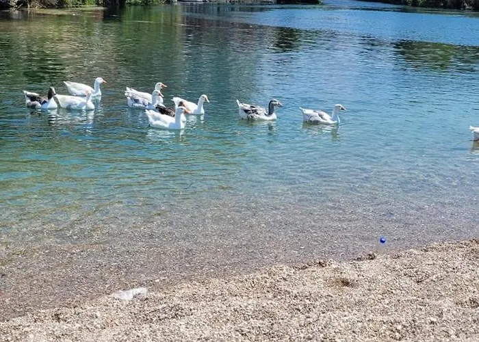 Happy At Bistrica Saranda